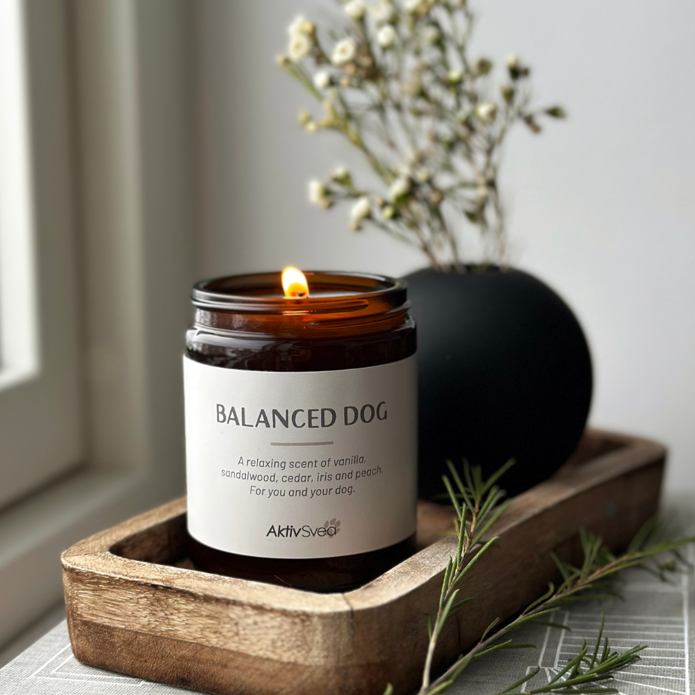 AktivSvea Doftljus Balanced Dog 150g