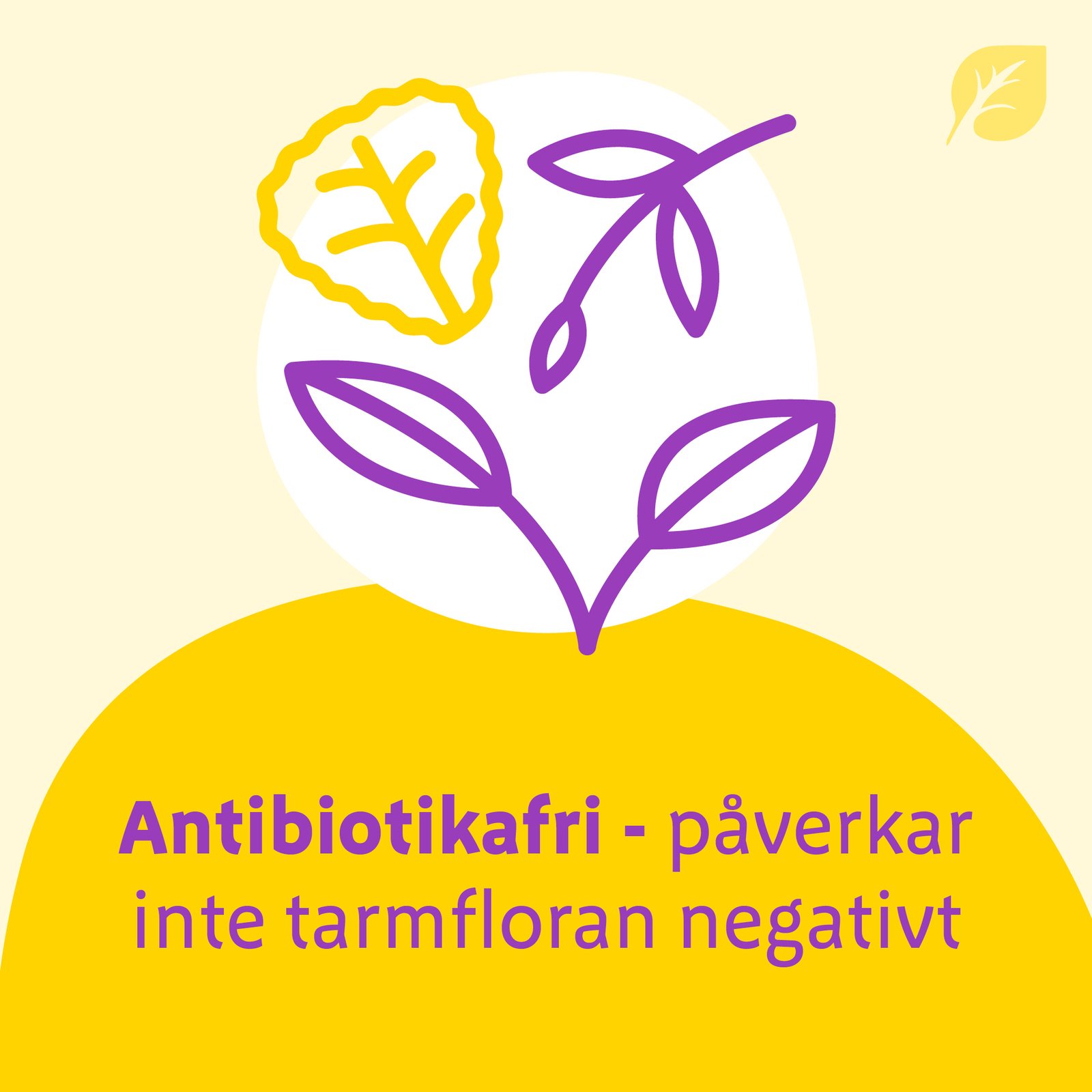 Urodynon 30 dragerade tabletter