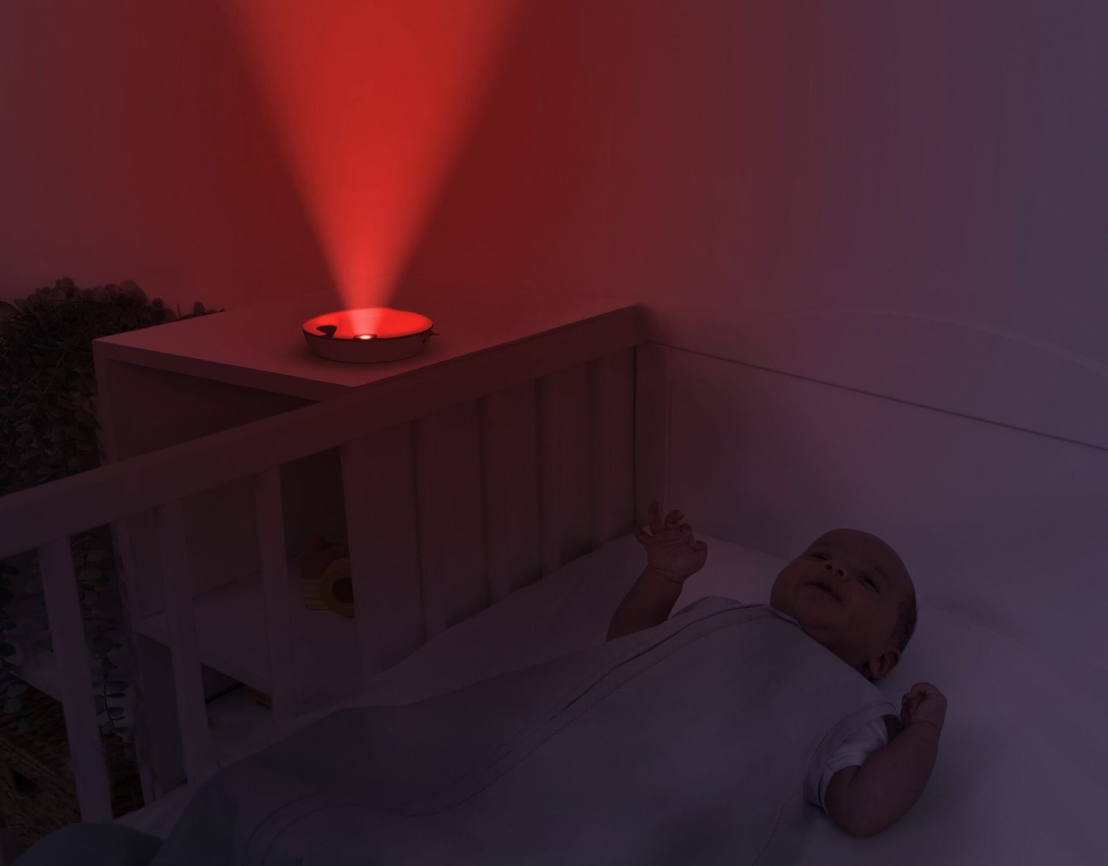 Zazu Emmy the Elephant Speldosa/Nattlampa