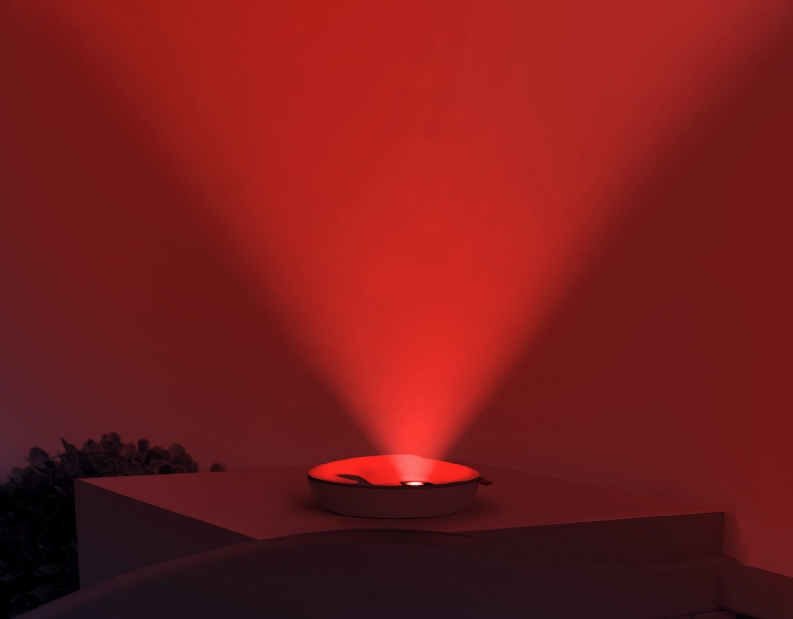 Zazu Emmy the Elephant Speldosa/Nattlampa