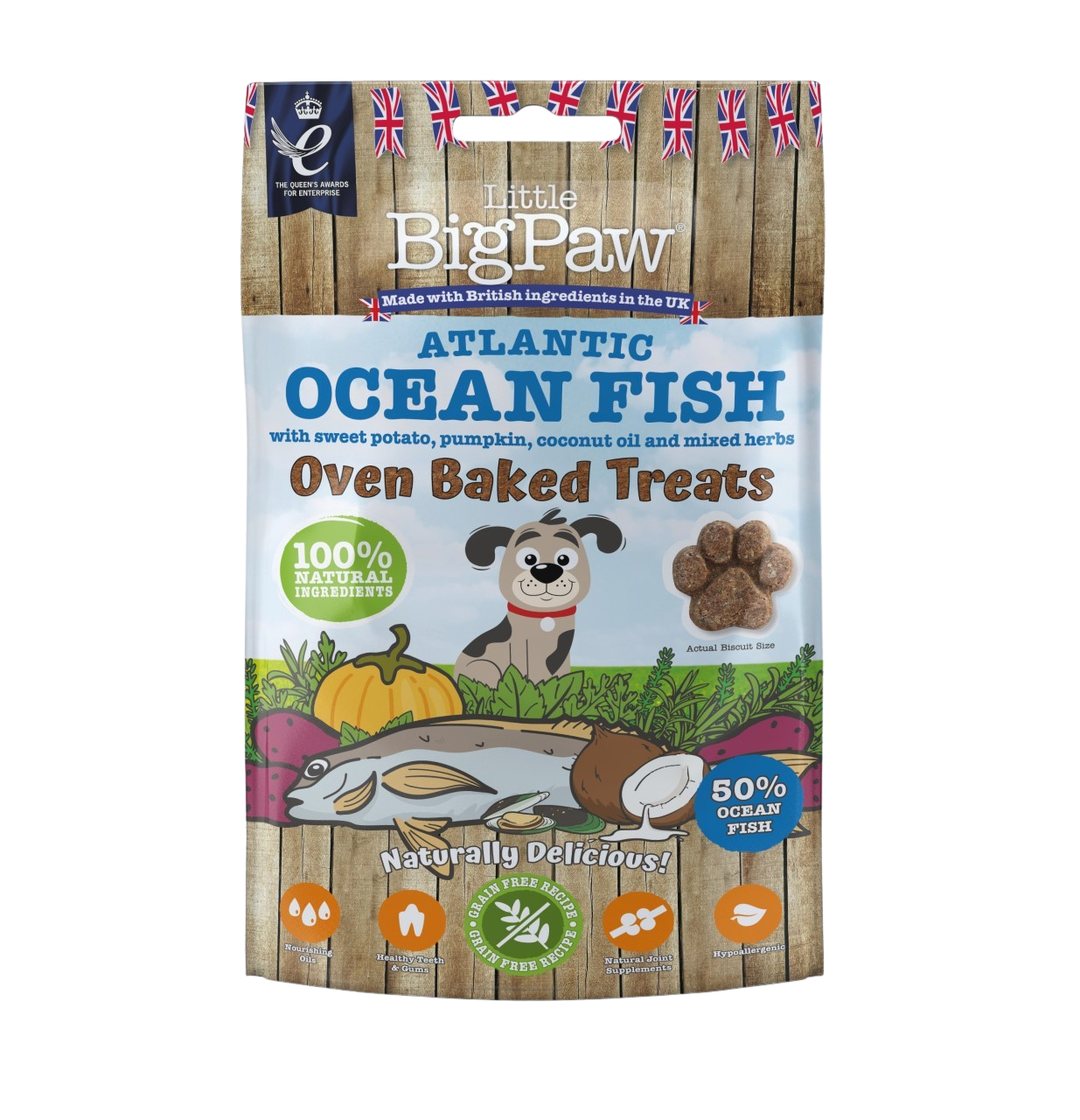 Little BigPaw Ocean Fish, Potato, Pumpkin, Coconut & Herbs 130 g