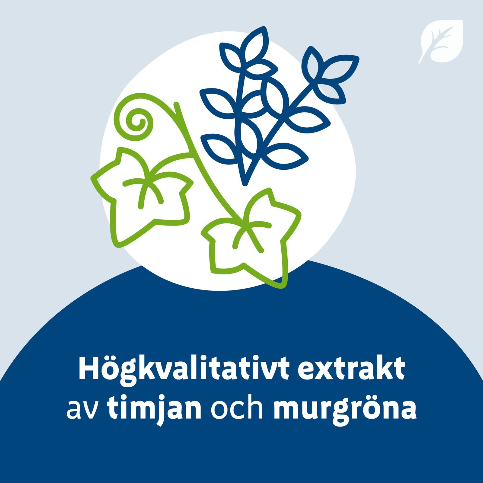 Mucofyl Forte Oral Lösning 100 ml