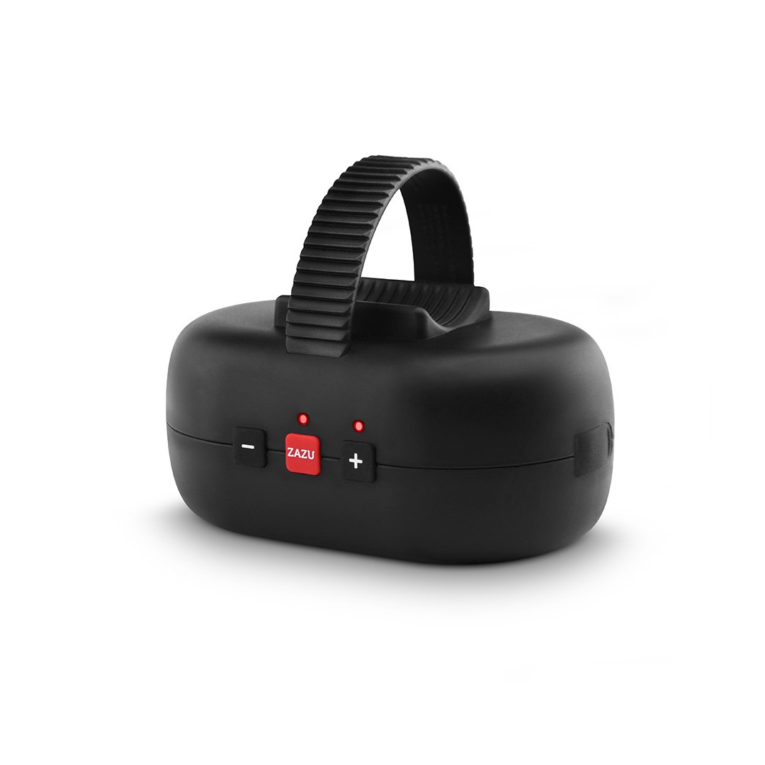 Zazu Robby The Rocker 1 st