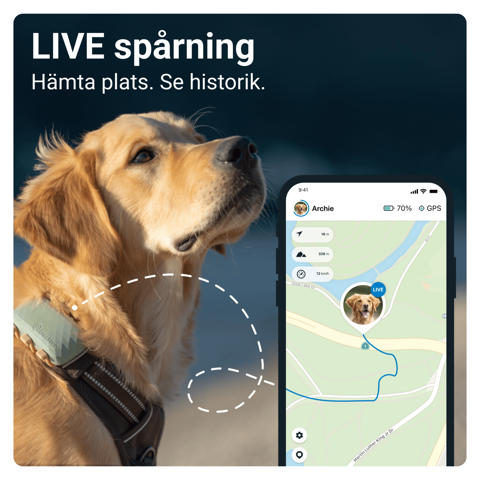 Tractive GPS DOG XL Green 1 st