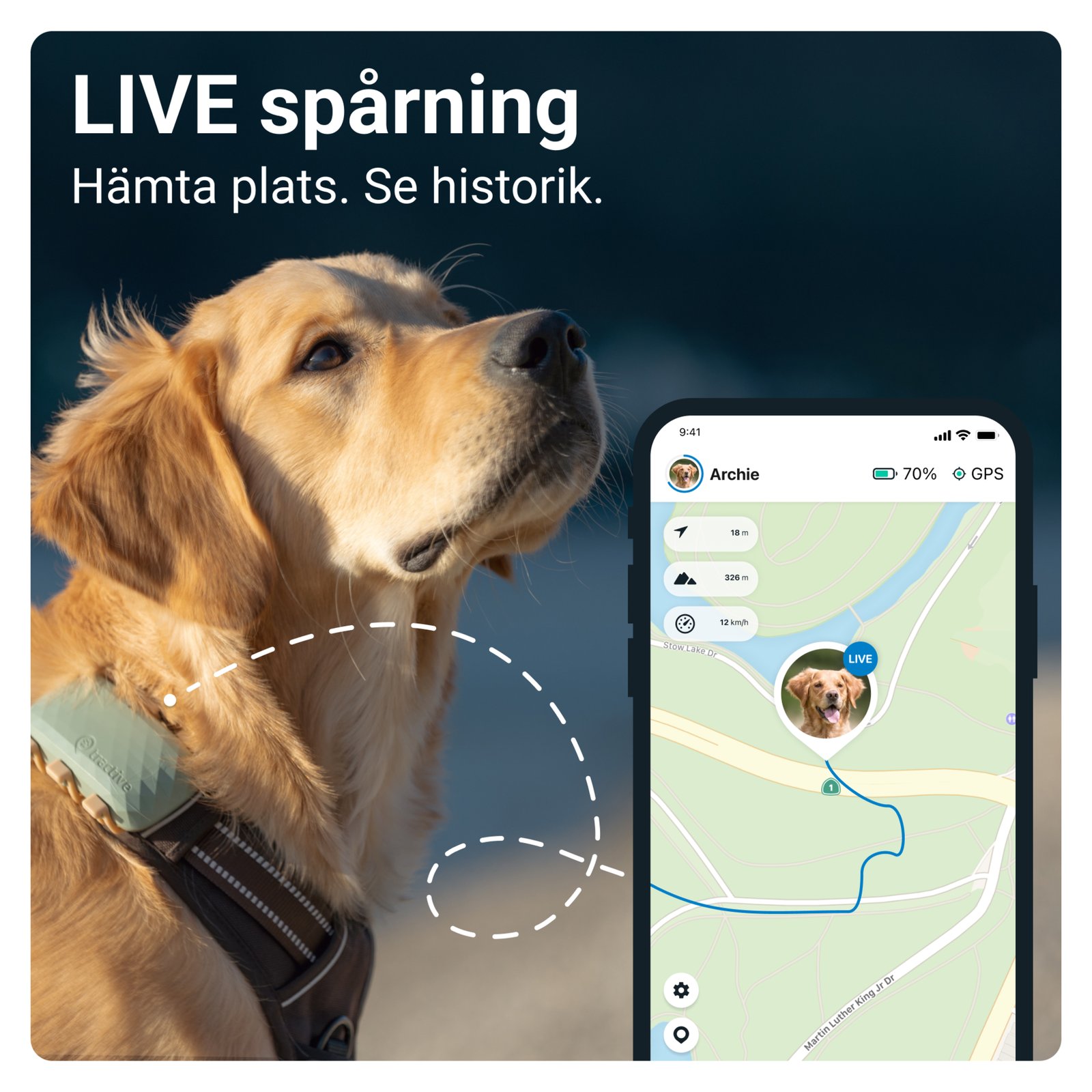 Tractive GPS DOG XL Green 1 st