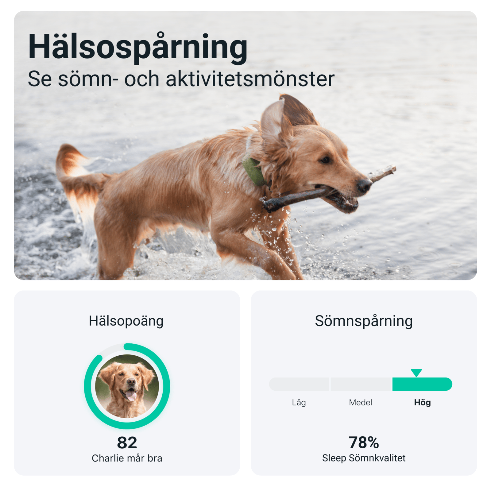 Tractive GPS DOG XL Green 1 st