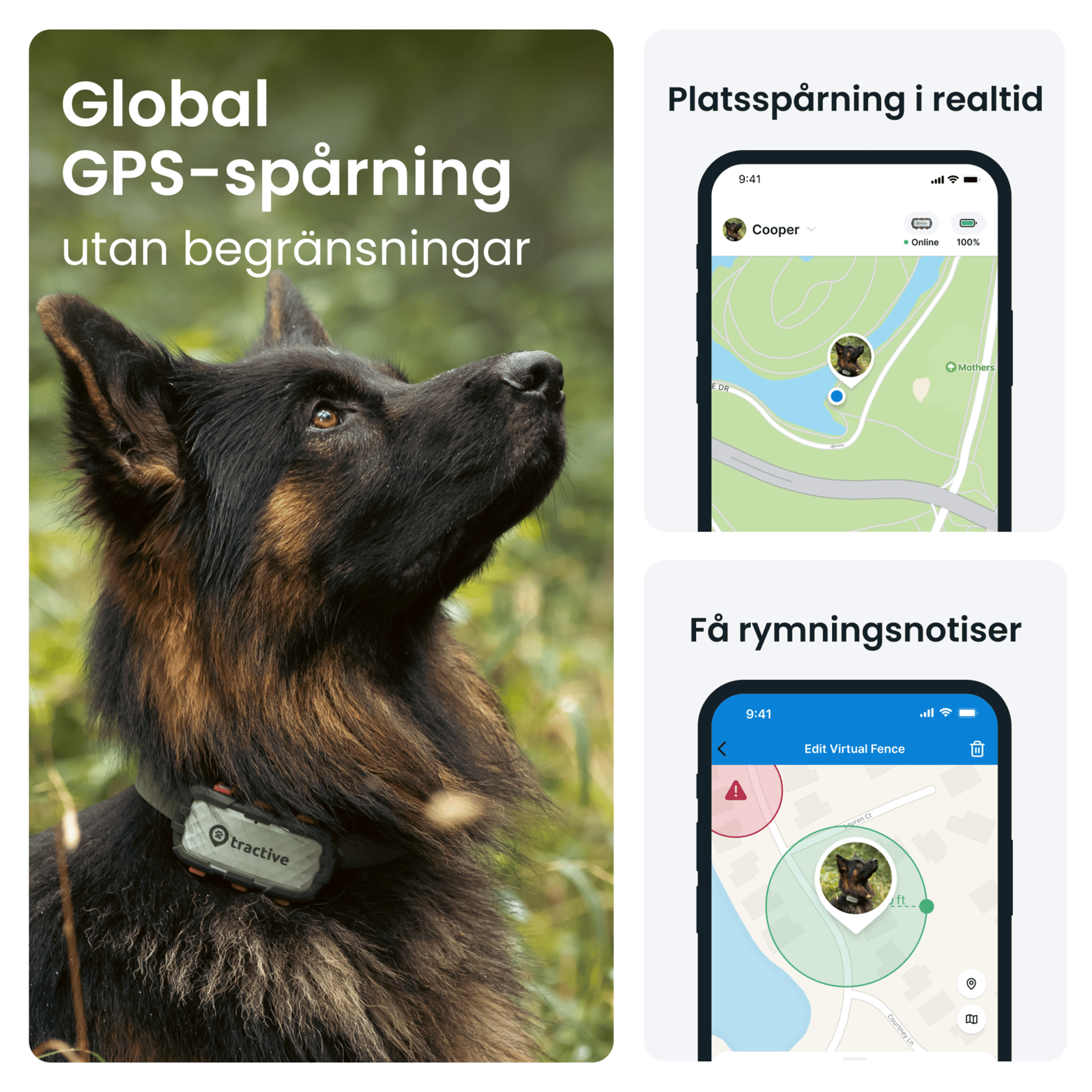 Tractive GPS DOG XL Adventure Edition 1 st