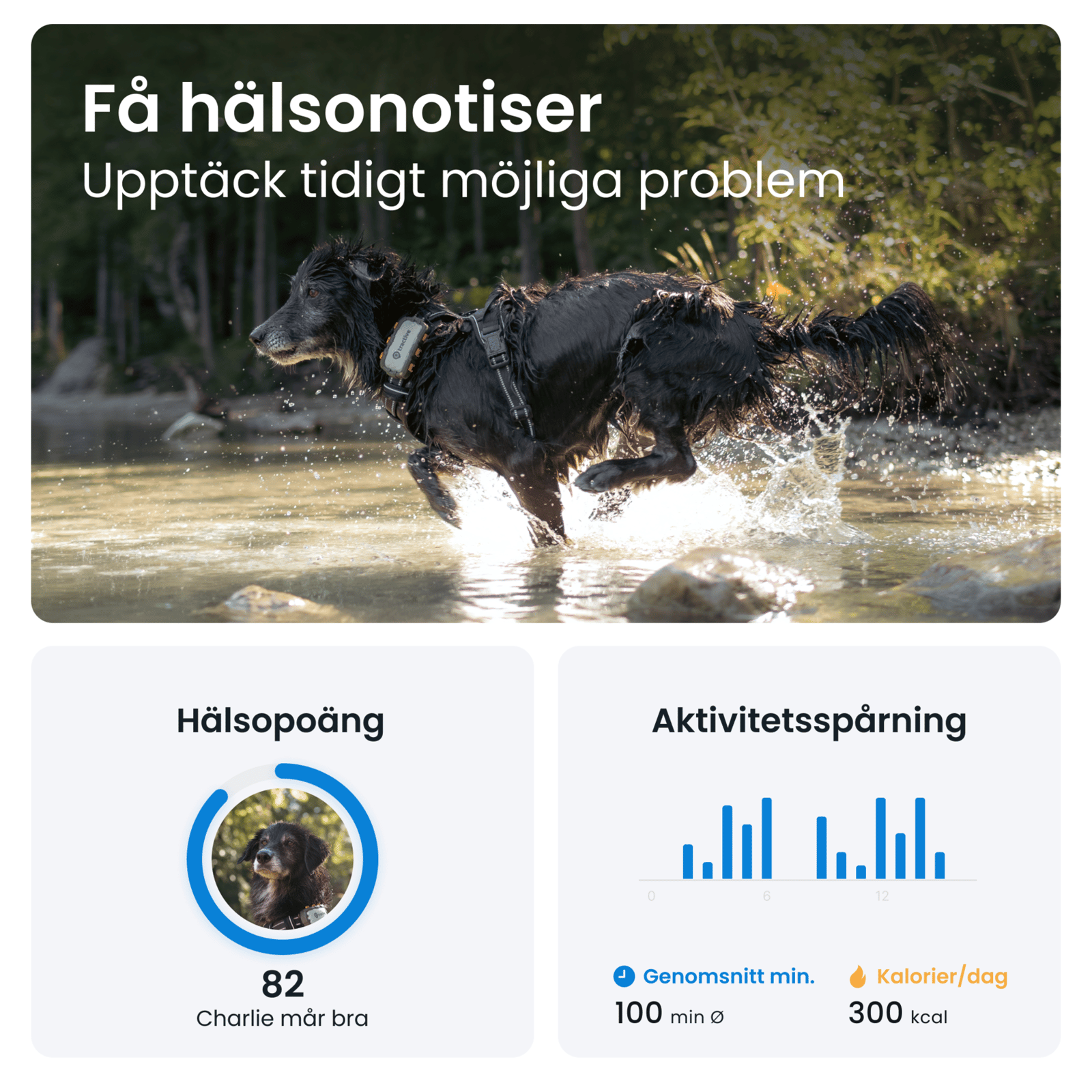 Tractive GPS DOG XL Adventure Edition 1 st