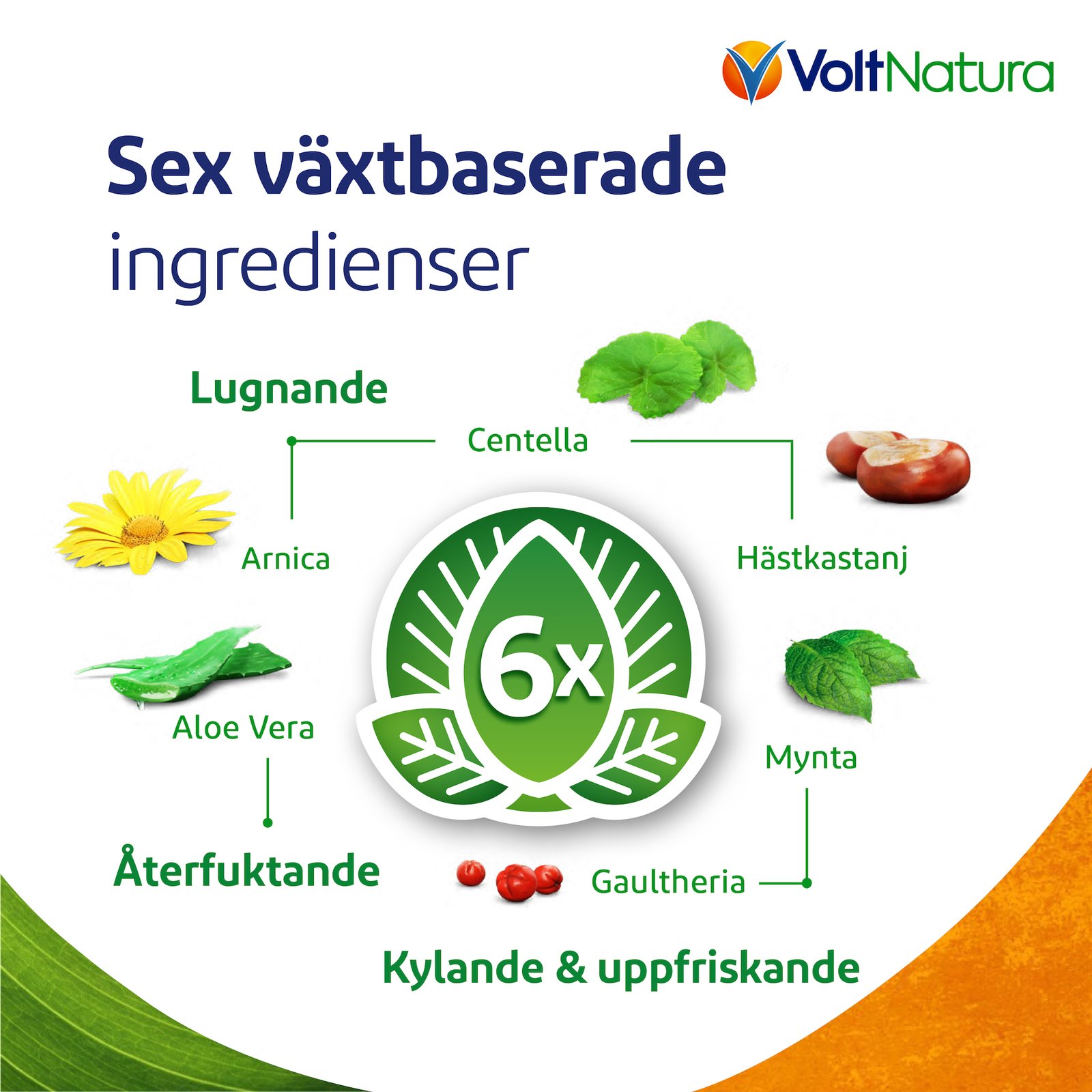 VoltNatura Gel 100 ml