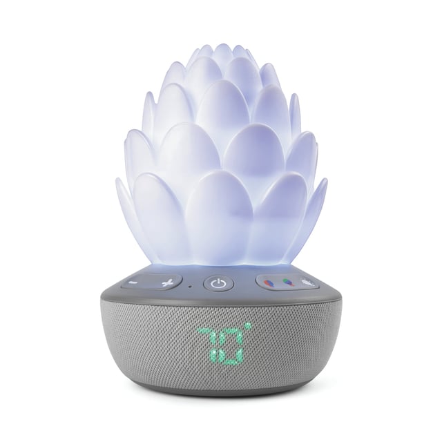 Skip Hop Succulent Nattlampa med gråtsensor