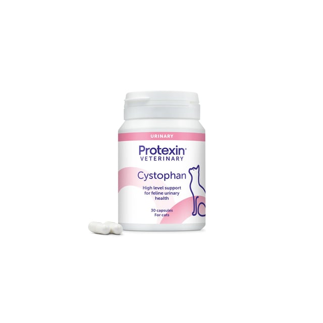 Protexin Cystophan Cats 30 kapslar