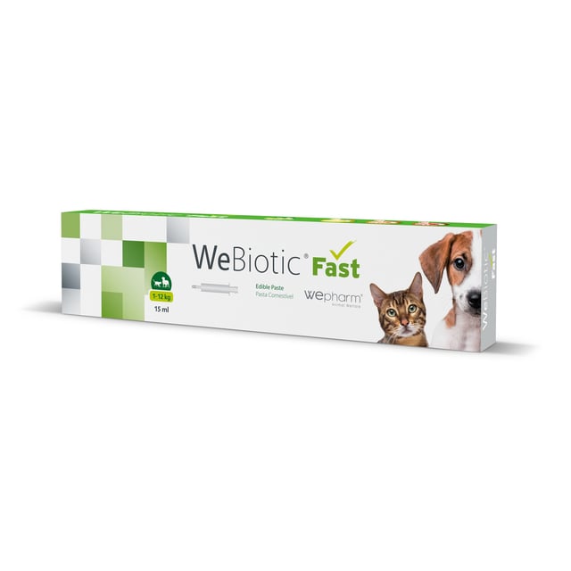Wepharm WeBiotic Fast Oral Pasta (0-12 kg) 15 ml