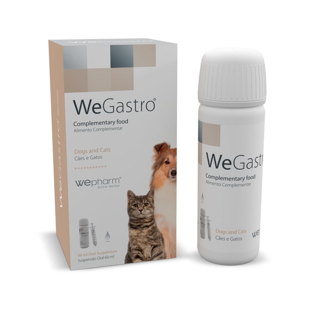Wepharm WeGastro oral suspension 60 ml