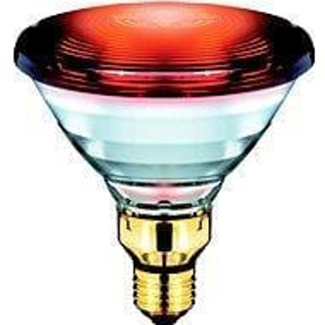 Beurer IL 21 Reservlampa 150 Watt 1 st