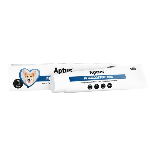 Aptus Recobooster Dog 100g