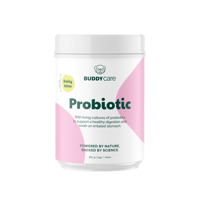 BUDDY Care Probiotic 180g