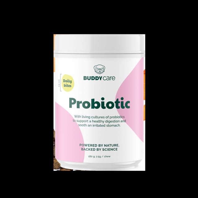 BUDDY Care Probiotic 180g