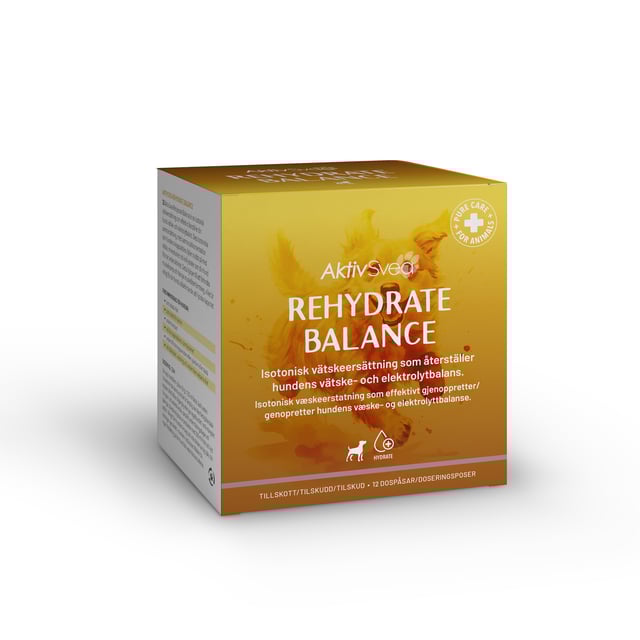 AktivSvea Rehydrate Balance 120 dospåsar