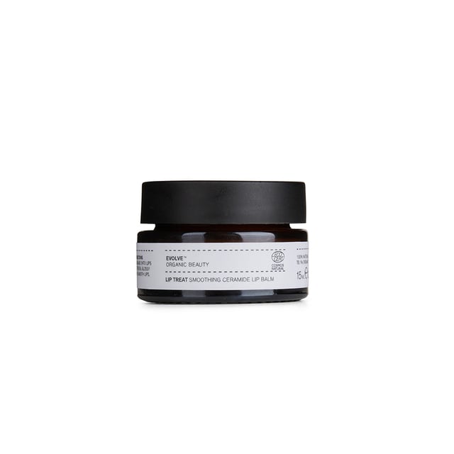 Evolve Organic Beauty Lip Treat 15 ml