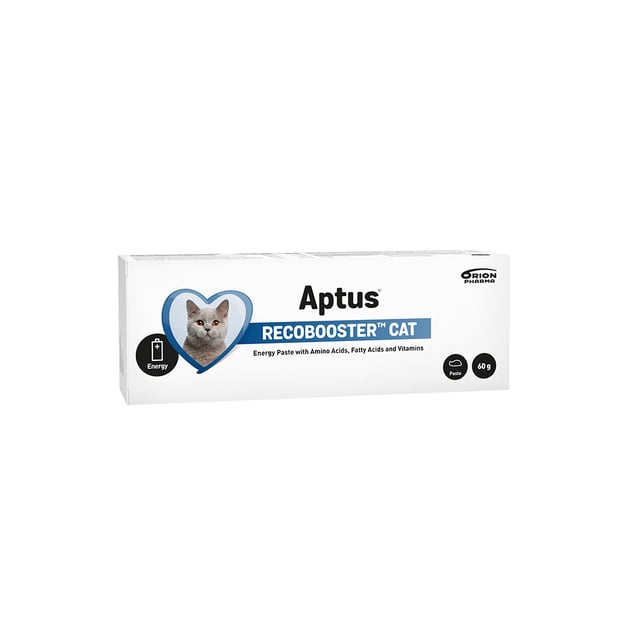 Aptus Recobooster Cat Pasta 60g