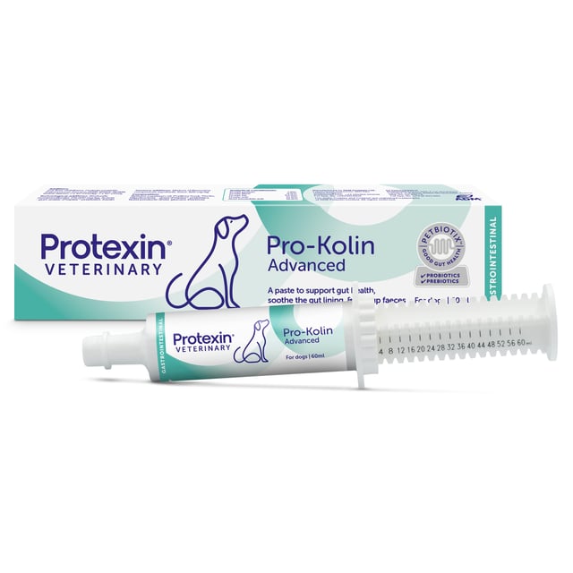 Protexin Pro-Kolin Advanced Hund 60 ml