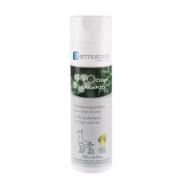 Dermoscent PYOclean® Shampoo för hundar & katter 200 ml