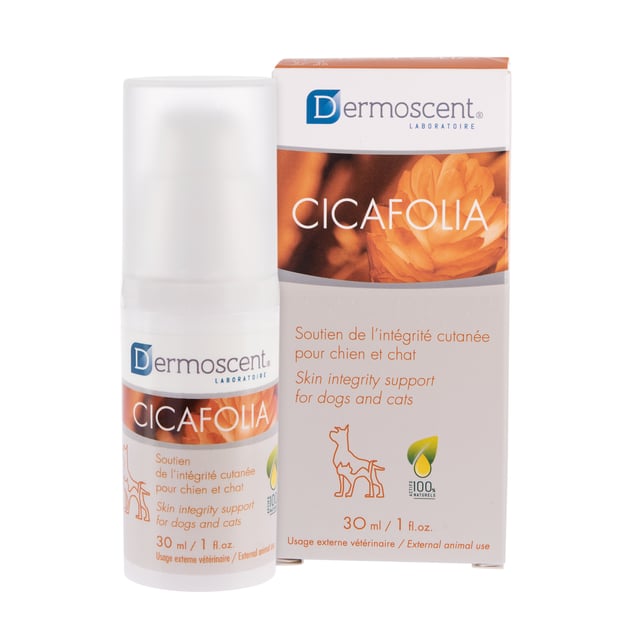 Dermoscent Cicafolia® Sårläkande Gel | Djur - Sårvård & hygien för djur - Sårtvätt & förband för djur,Djur - Pälsvård | Apoteka