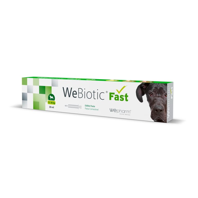 Wepharm WeBiotic Fast Oral Pasta (12-36 kg) 30 ml | Djur - Mage & tarm för djur - Magproblem & diarré hos katter,Djur - Mage & tarm för djur - Magproblem & diarré hos hundar,Djur - Djurfoder & tillskott - Tillskott för mage & tarm | Apoteka