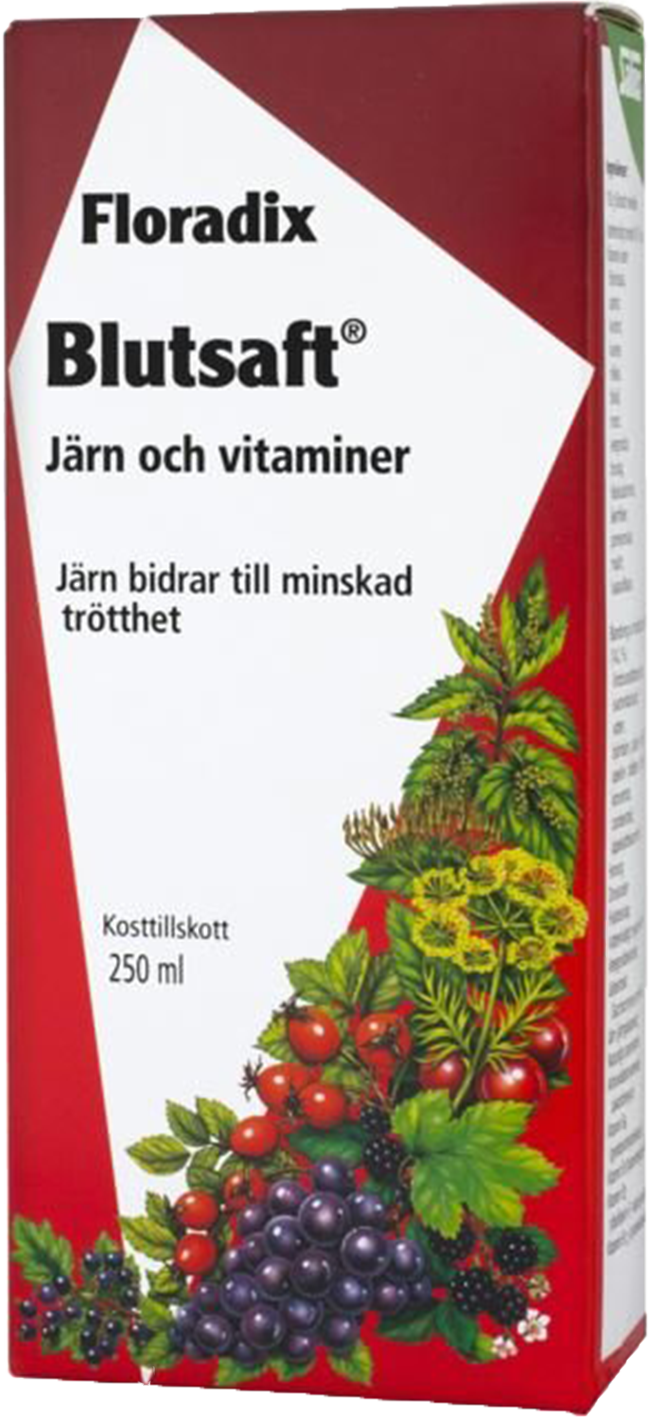 Floradix Blutsaft 250 ml