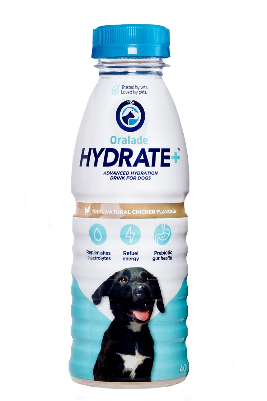 Macahl Animal Health Hydrate+ 400 ml