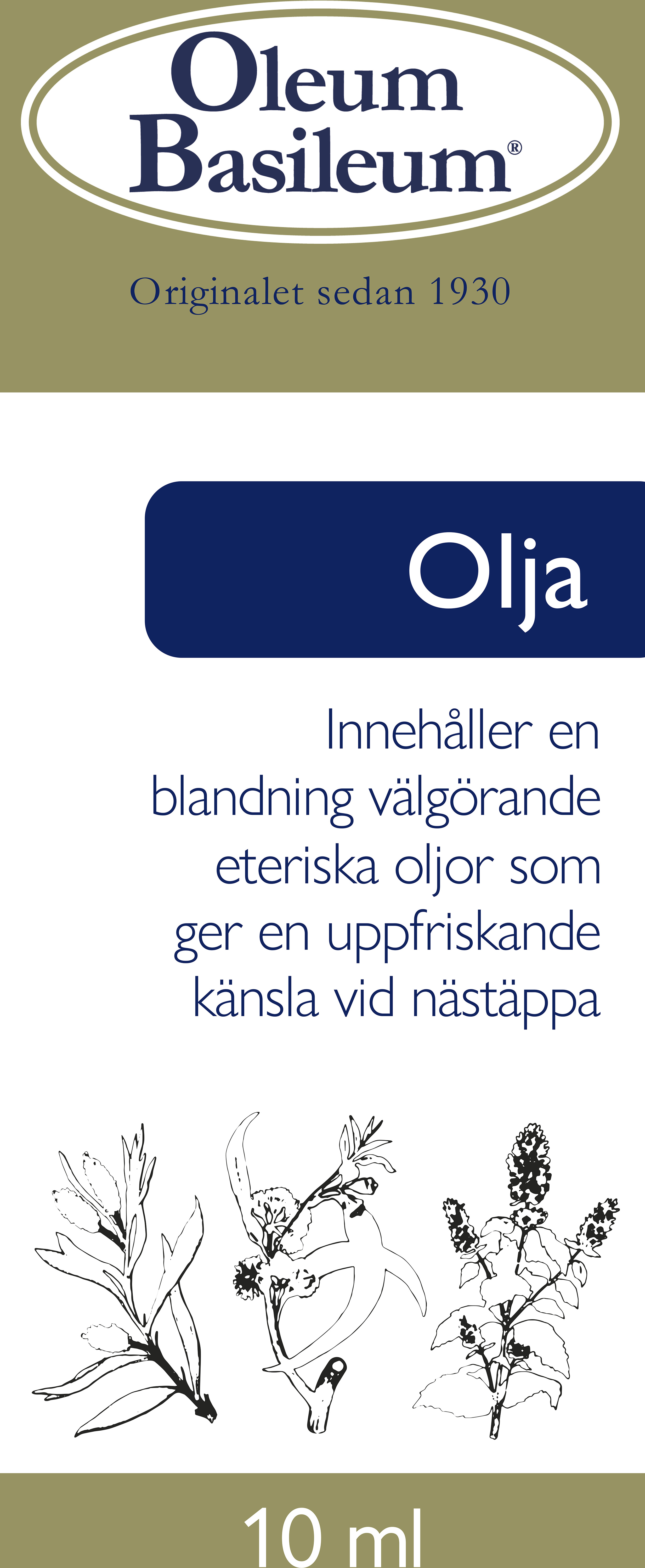 Oleum Basileum Olja 10 ml
