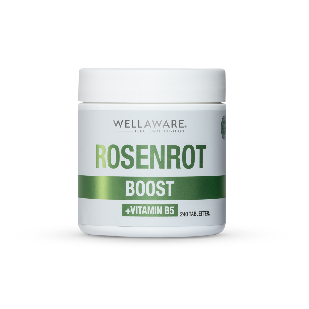 WellAware Health Rosenrot + B5 Minitabletter 240 st
