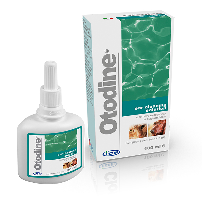 ICF Otodine 100 ml